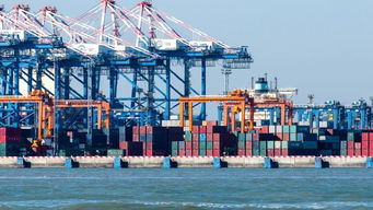 8月進出口增速雙降,政策托底外貿(mào)仍具韌性